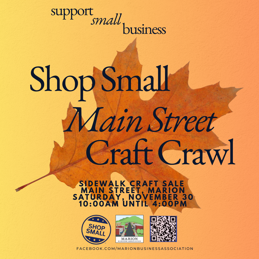 Image from a previous Shop Small Main Street Crawl event